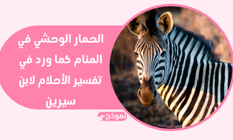 الحمار الوحشي في المنام كما ورد في تفسير الأحلام لابن سيرين
