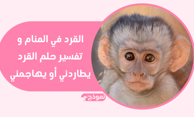 القرد في المنام و تفسير حلم القرد يطاردني أو يهاجمني