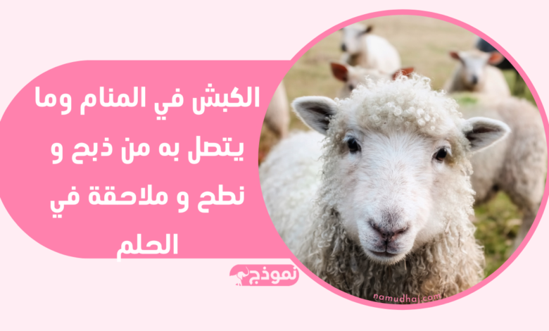 الكبش في المنام وما يتصل به من ذبح و نطح و ملاحقة في الحلم