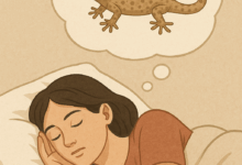 وزغة تظهر في حلم