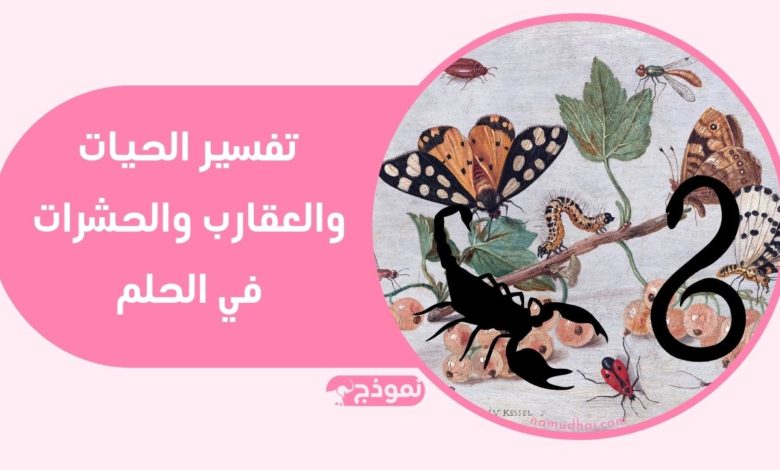 الحيات والعقارب وكثيرا ما تظهر الحشرات في المنام مثل الذباب والنمل والخنفساء والبق