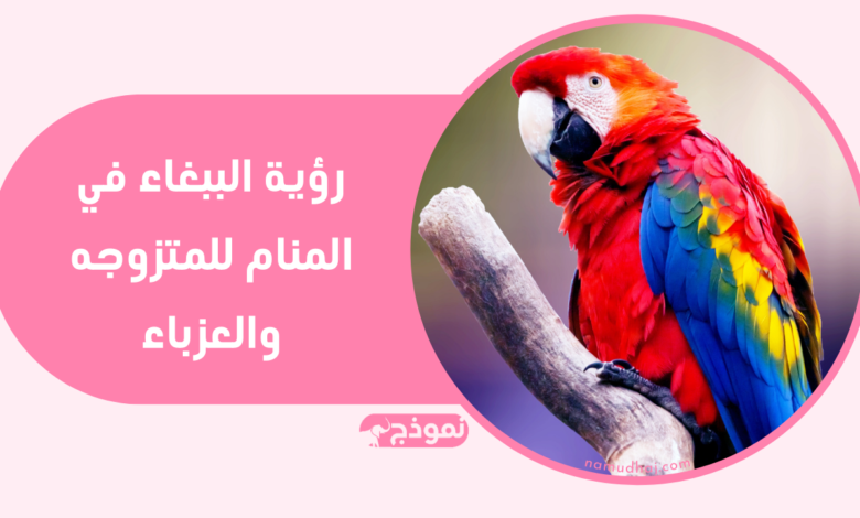 الببغاء الملون في منام العزباء يعد في التأويل رمزا إيجابيا للغاية،