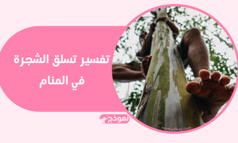 تفسير تسلق الشجرة في المنام