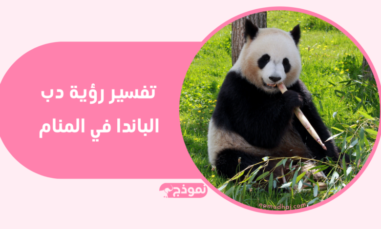 تفسير رؤية دب الباندا في المنام