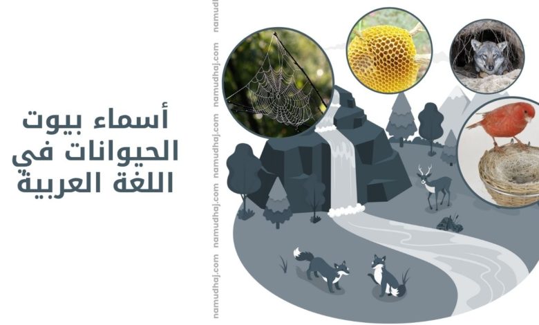 أسماء بيوت الحيوانات في اللغة العربية