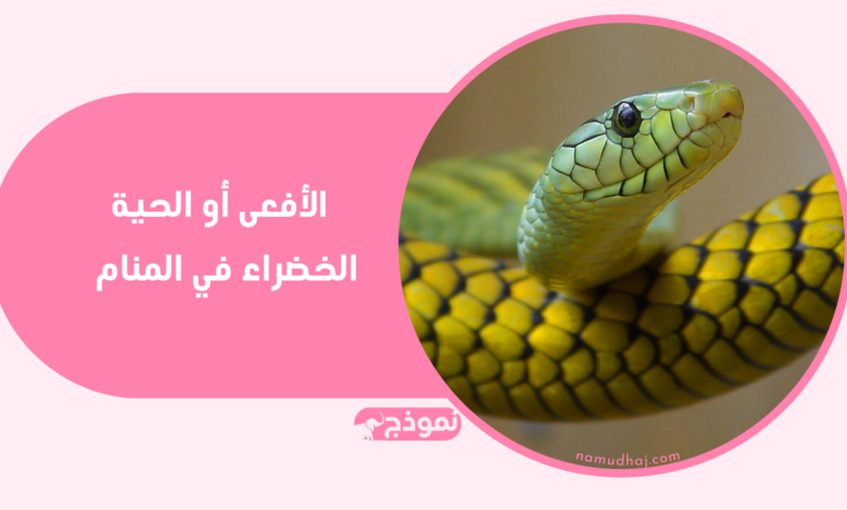 تفسير الأفعى أو الحية الخضراء في المنام لابن سيرين